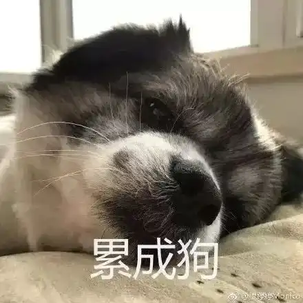 beataroundthebush翻译成绕着圈击打丛林就尴尬了
