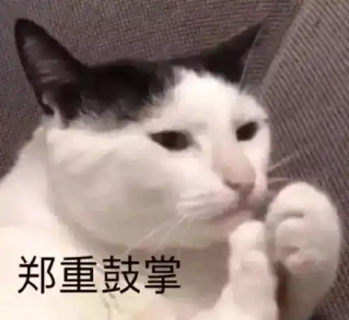 抖音热门表情包一个人的夜我的心应该放在哪里
