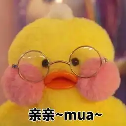 一组玻尿酸鸭表情包
