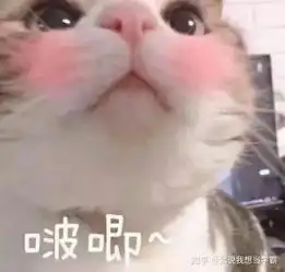 女孩子聊天时撒娇改用什么词回复
