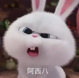 请问这张兔子表情叫什么来自那部动漫
