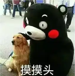 网通社汽车信得惠lexus
