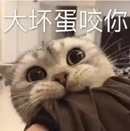热门斗图表情包大坏蛋,咬你
