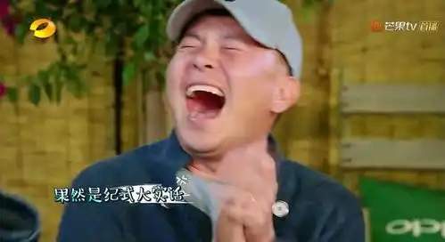 亲爱的客栈收官纪凌尘向阚清子表白,众人笑出表情包
