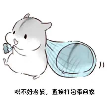表情包哄不好老婆,就打包带回家
