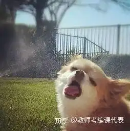 非师范生教师考编难不难
