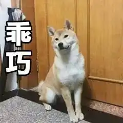 柴犬丨汪界表情包的鼻祖
