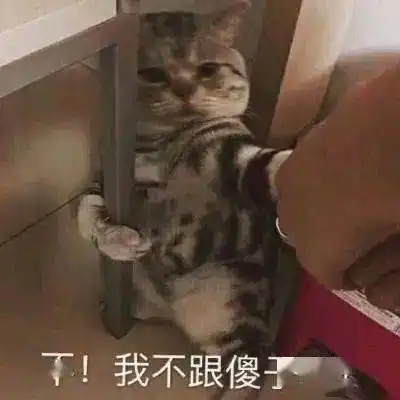 长得可爱就是麻烦丨第125期喵表情
