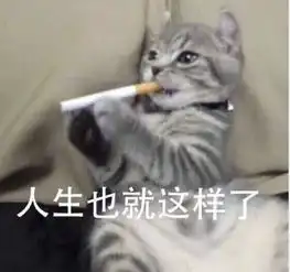 折磨一个程序员有多简单5句话4件事3个瞬间,立马崩溃
