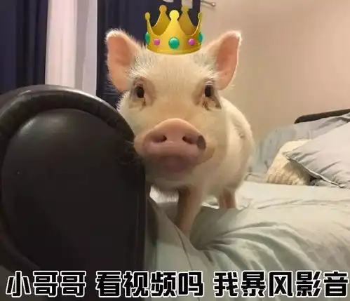 教你如何一句话搭讪小哥哥
