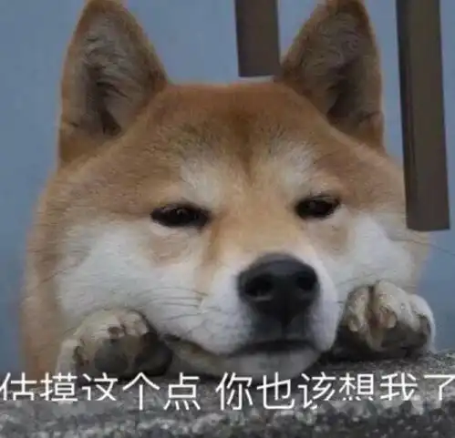 今日份表情包
