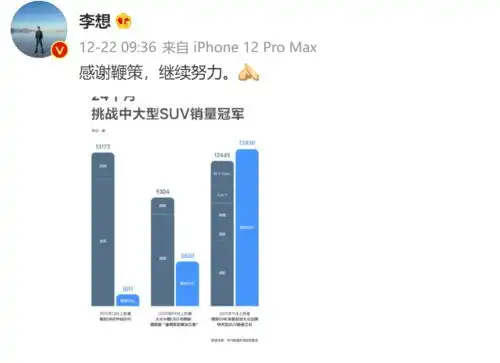 蔚小理开始分化新能源车翻过分水岭
