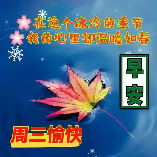 冬天最新版唯美早上好图片表情包,微信群打招呼早上好图片
