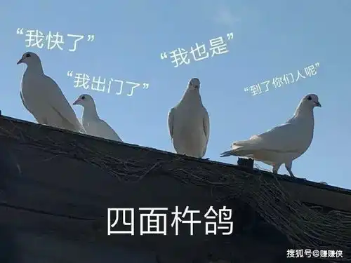 表情包动态图片gif最新热门搞笑,笑到肚子疼
