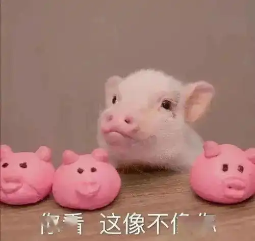 这些冷知识你知道嘛
