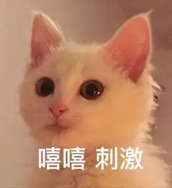 热门留学城市租金排行榜,你的城市上榜了吗