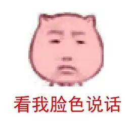 猥琐猫qq动态表情包
