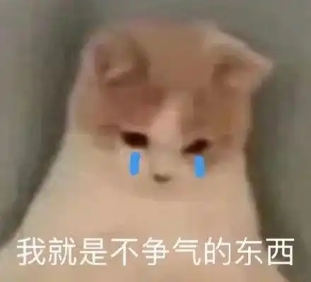 你没见过的沙雕笑话
