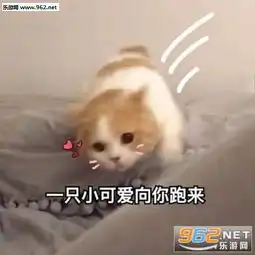老实点娇喘表情包图片真拿老公没办法表情包下载乐游网游戏下载
