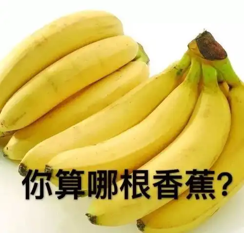 怎么优雅而礼貌地骂人骂着骂着还会饿...
