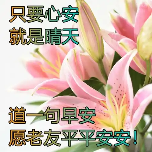 真挚温馨的早上好动态祝福图片祝福暖心早安动态表情包
