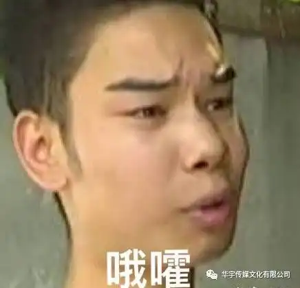 发际线男孩一夜爆火,谁说钱买不来快乐花4万理个发就很开心
