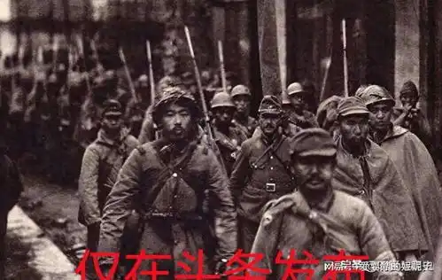 日本甲种师团二战硬骨头探秘庞大兵力与火力配置

