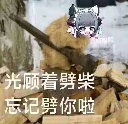 群友们的各种表情包
