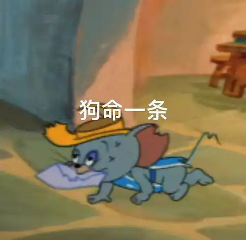 猫和老鼠表情包关上门你就是我的人了
