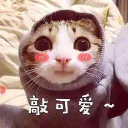 pte干货为什么口语发音总是不完美这几大常见错误你一定要小心
