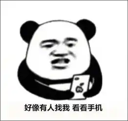 表情包好像有人找我,看看手机,一不小心又是熬夜冠军
