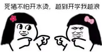 王俊凯低调现身北影报道,没入住室友已被扒个遍
