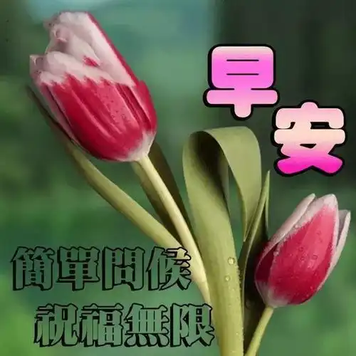 用好运装点你,用微笑美丽你用幸福祝福你,朋友,早安
