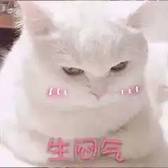 疯狂吐槽还能吃火锅拿大奖快戳进来看看你又错过了什么
