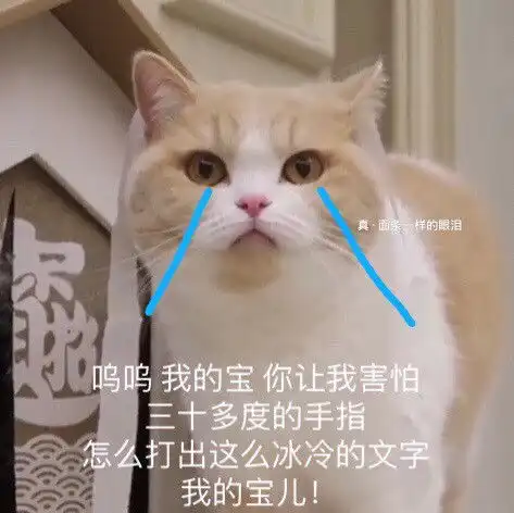 今日份表情包刚在玩手机忘记回你了不好意思啊
