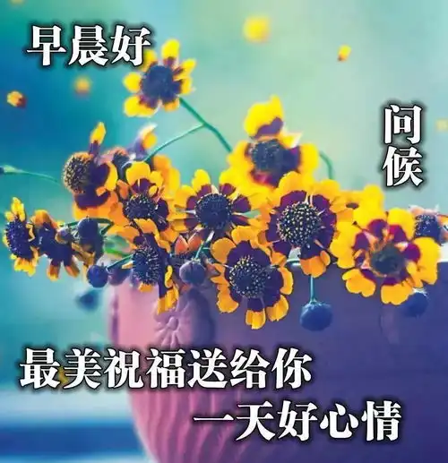 2022最新版漂亮早晨好动态表情图片早上好祝福表情动态图片
