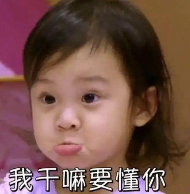圈子不同可别强融女网红搭肩董明珠手被拿开,白鹿敬酒差点闯祸