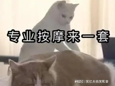 老司机请回答啪完立马就去洗,这是嫌弃我吗
