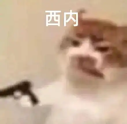 100挂机时间的人能不能去死呢o
