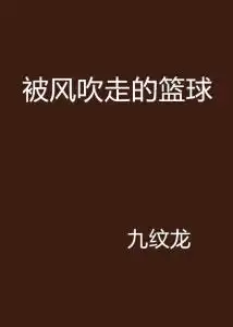 被风吹走的篮球
