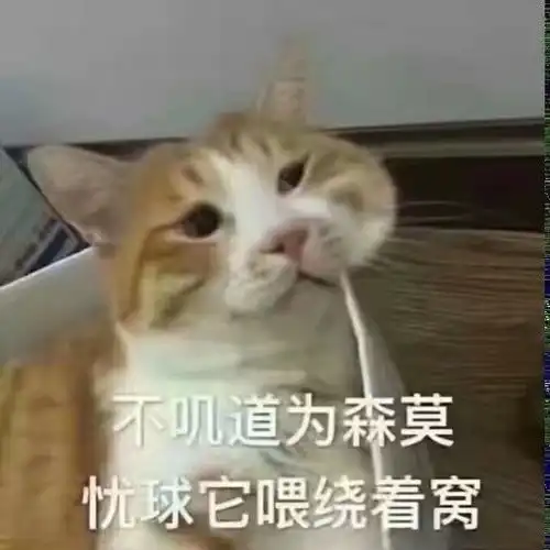 有了这些猫咪表情包,我聊天时的作战能力又上了个等级
