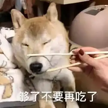 人见人爱的萌宠表情包
