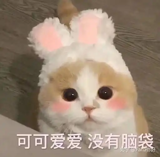 给女生订披萨大概几寸合适
