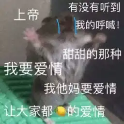 表情包丨关老子什么事
