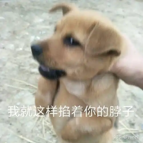 2022年双十一有哪些值得推荐的显示器支架笔记本支架升降桌10月更新
