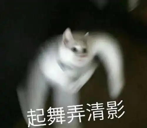 有没有舞西皮的小姐妹
