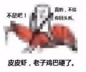 皮皮虾表情包zol下载
