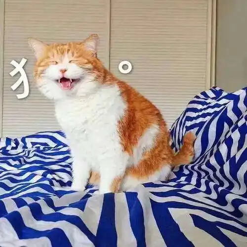 拆弹专家里的刘德华好会撩哦
