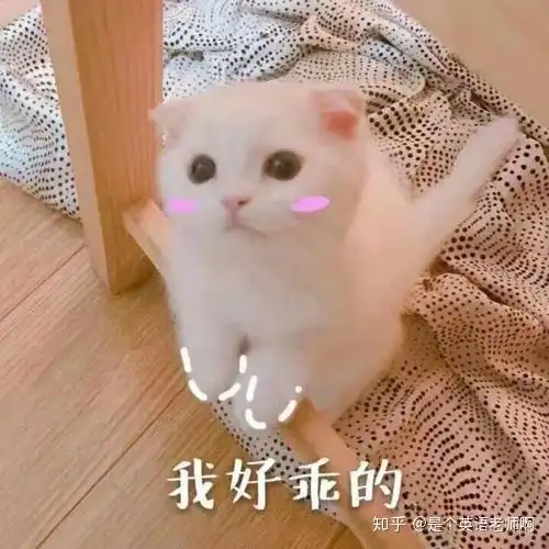 有教师资格证,不考编制是不是没啥用

