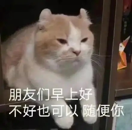 表情包杂七杂八斗图精选含动图
